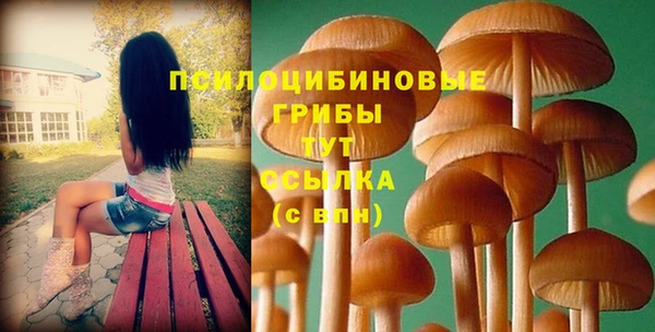 каннабис Гусев