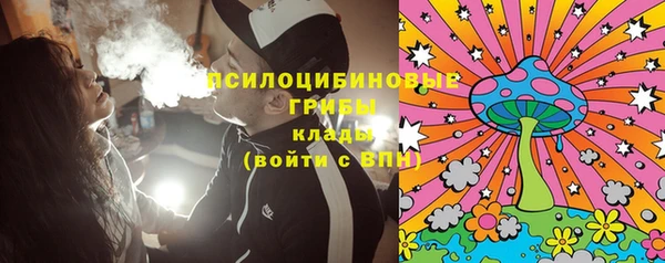 герыч Гусь-Хрустальный