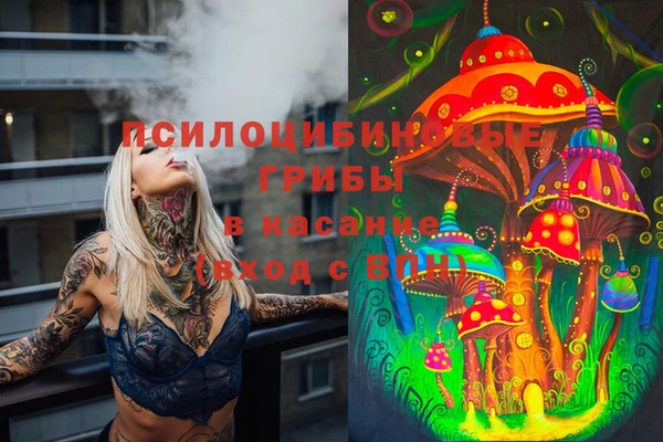 герыч Гусь-Хрустальный
